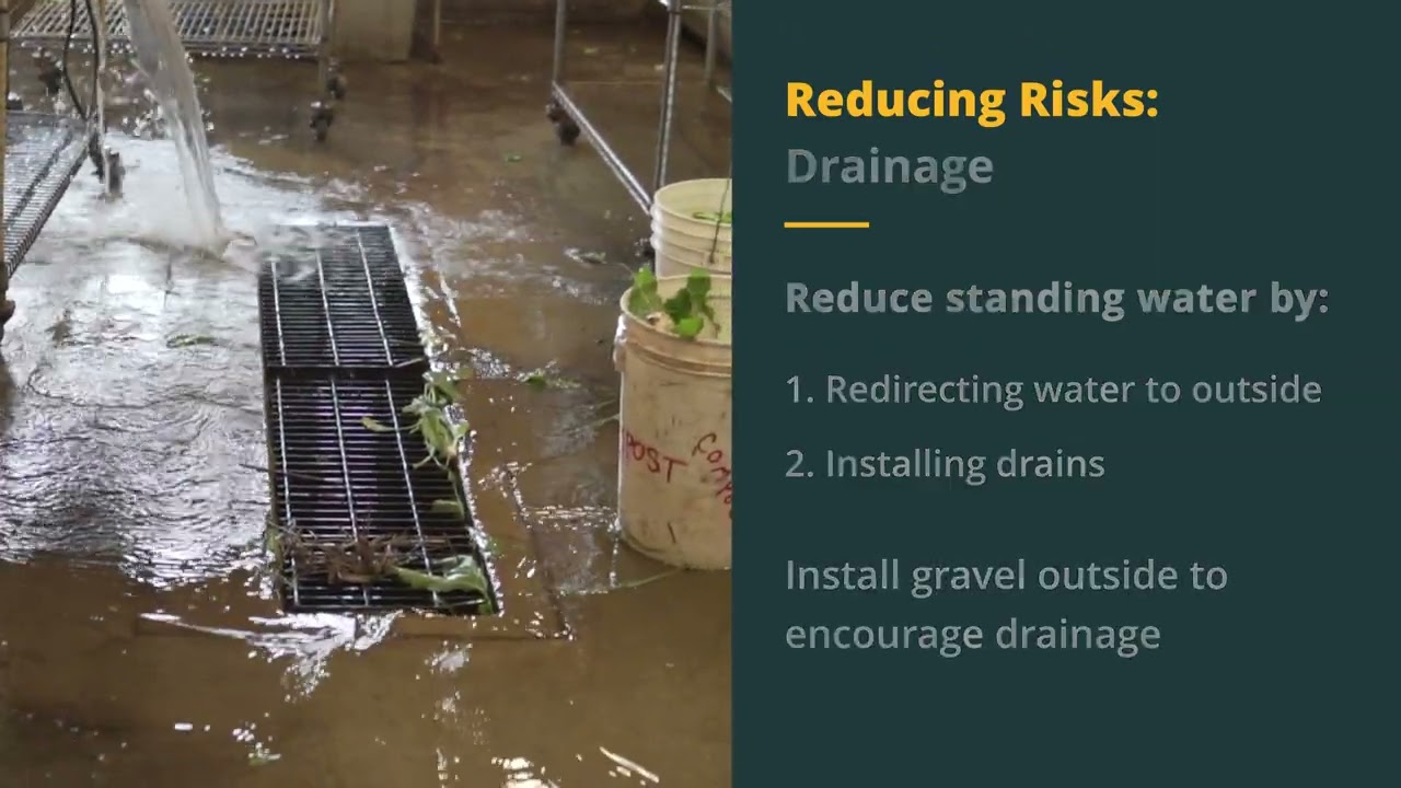FSMA Refresher Video 4: Packsheds, Postharvest Handling and Cleaning and Sanitizing