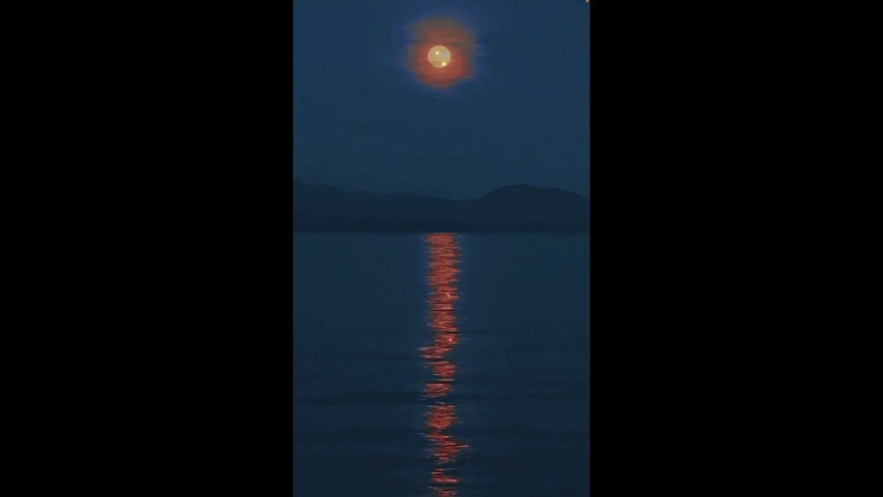 𝐸𝑙𝑠𝑒 - 𝑃𝑎𝑟𝑖𝑠 ( 𝑠𝑙𝑜𝑤𝑒𝑑 𝑎𝑛𝑑 𝑟𝑒𝑣𝑒𝑟𝑏)