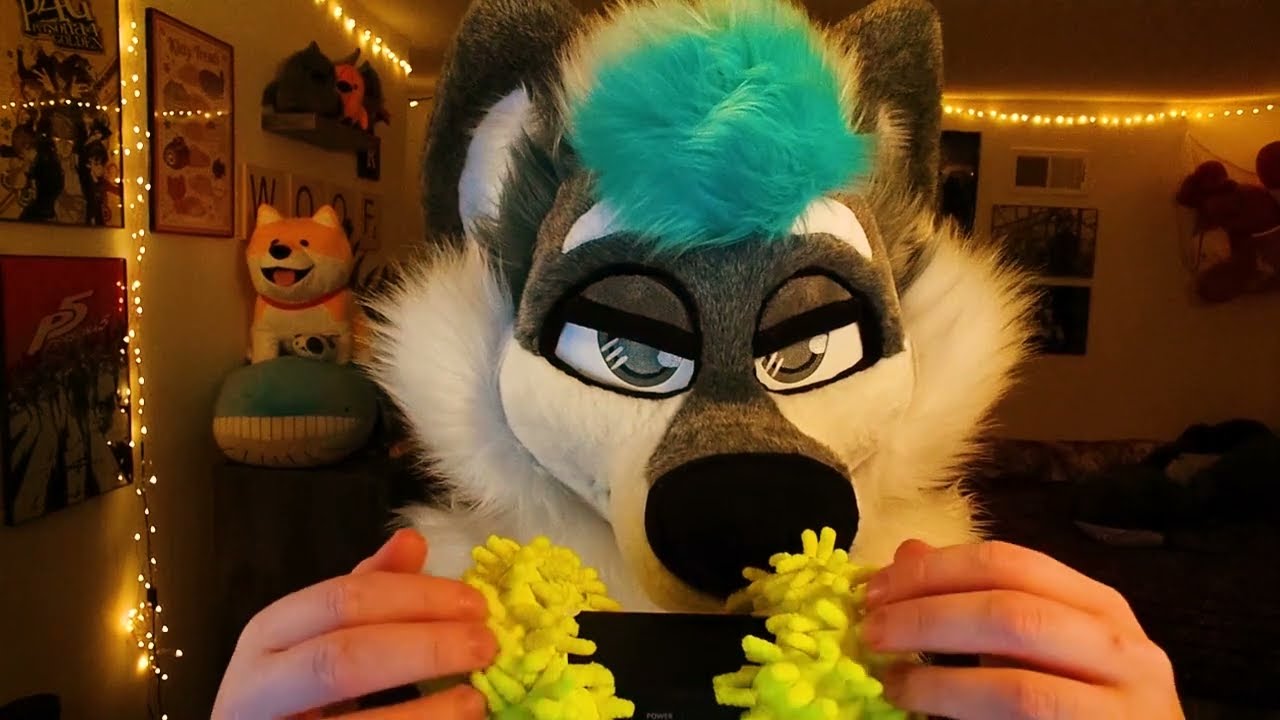 Microphone got sick [FURRY ASMR]