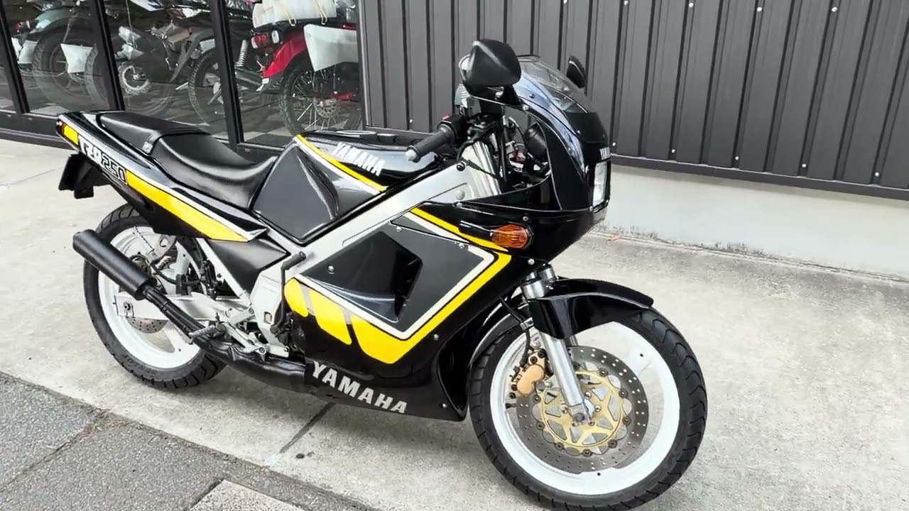 74181 TZR250