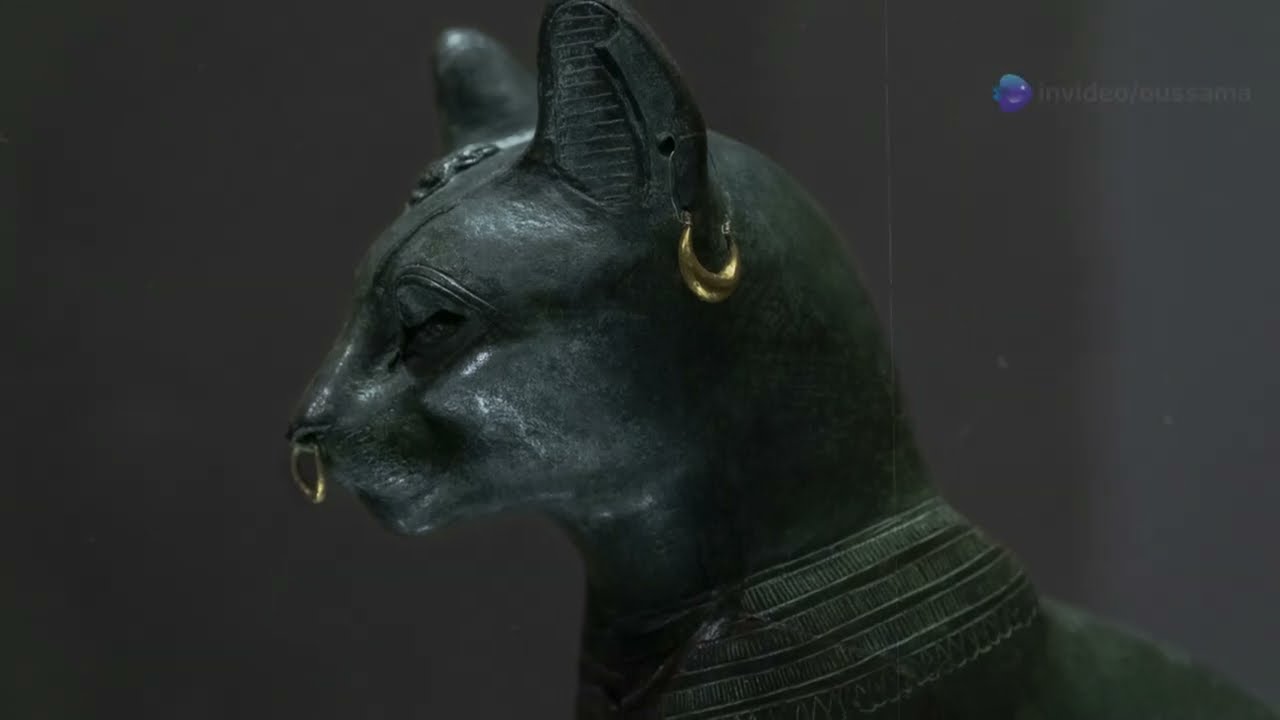 Mysterious Cat Legends from History! 😱🐱