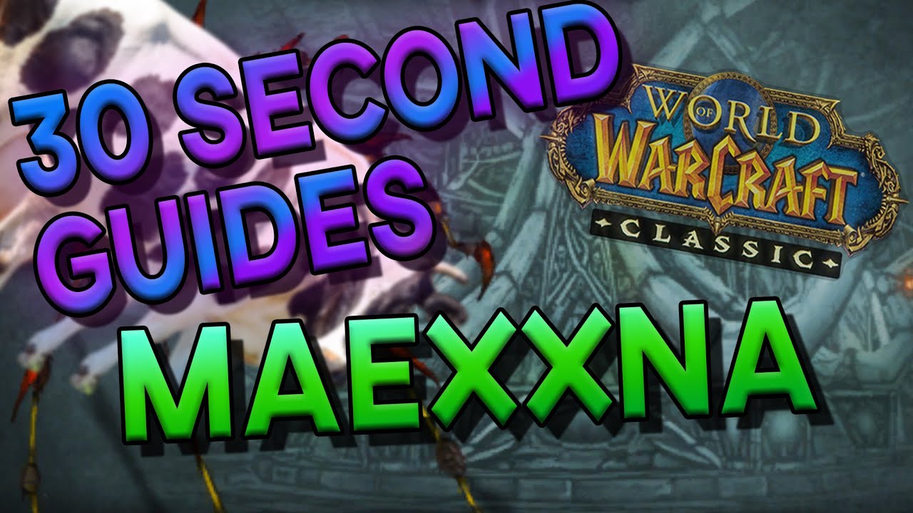 Maexxna - 30 Second Guides - Naxxramas