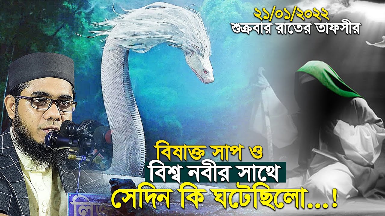 গুহার মধ্যে সাপ ও নবীজি (সাঃ)-এর সাথে ঘটলো অলৌকিক ঘটনা। mufti shahidur rahman mahmudabadi new waz