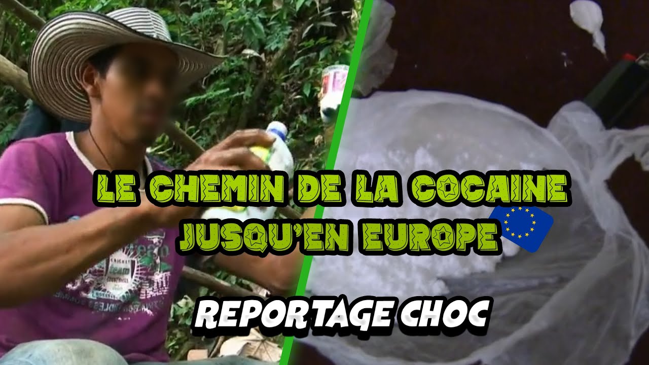 Le chemin de la COCAÏNE jusqu'en EUROPE (reportage)