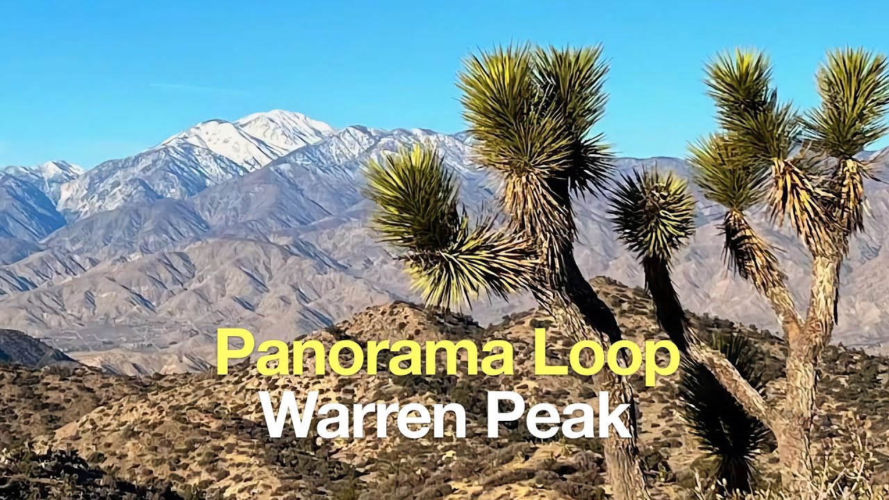 Panorama Loop and Warren Peak (Joshua Tree)