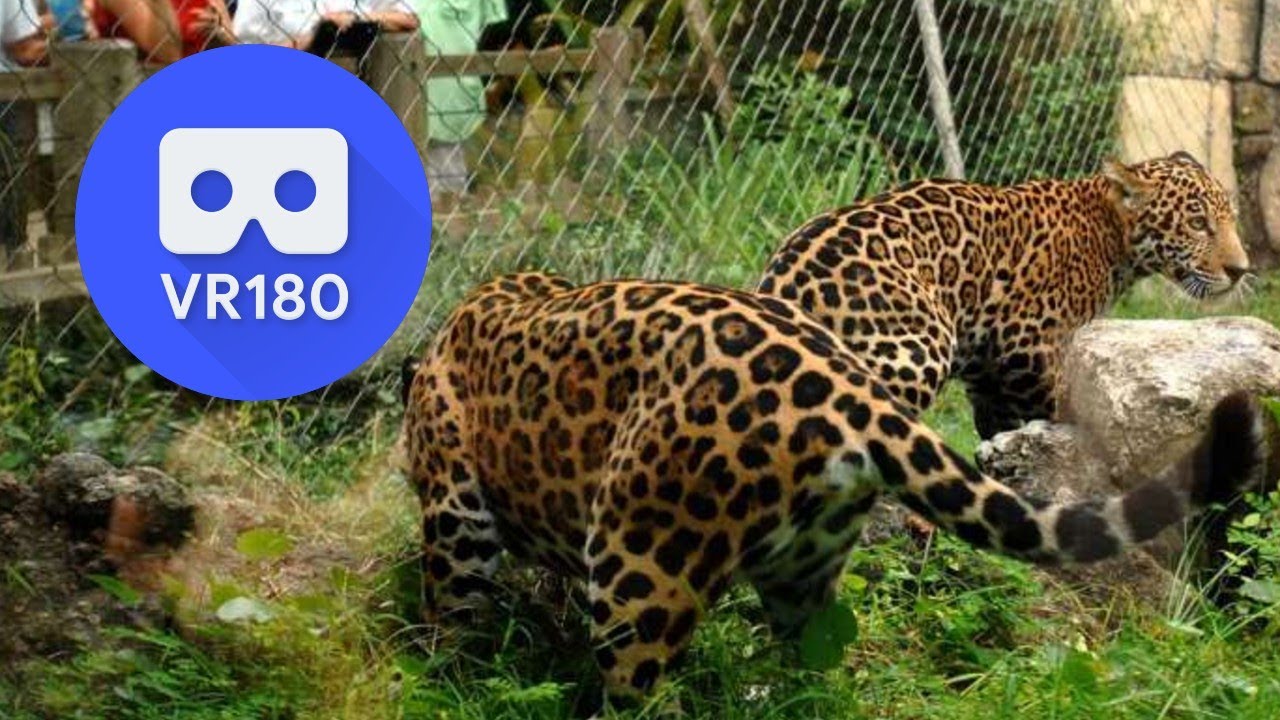 Garden, Zoo, and Aquarium | VR180 3D VR