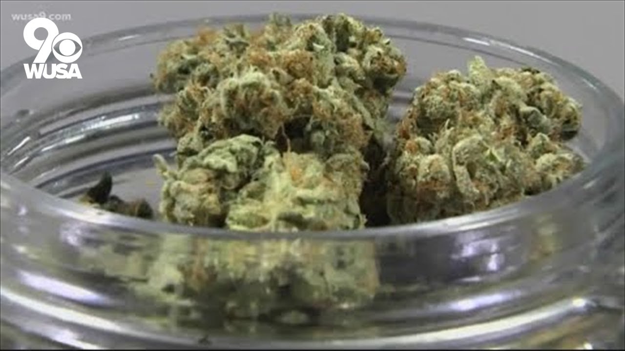 Virginia legalizes cannabis next week, but seeds may be hard to come by
