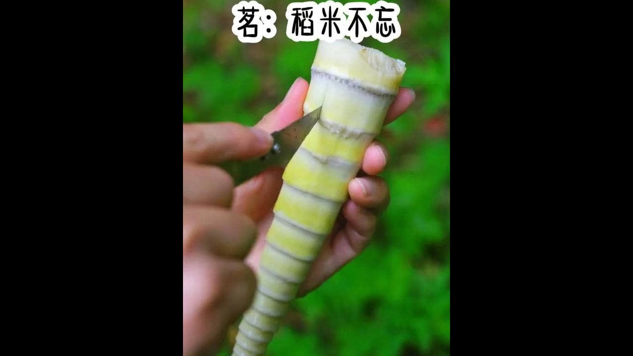 稻米不忘#盗墓笔记 #双男主 #超爆小故事