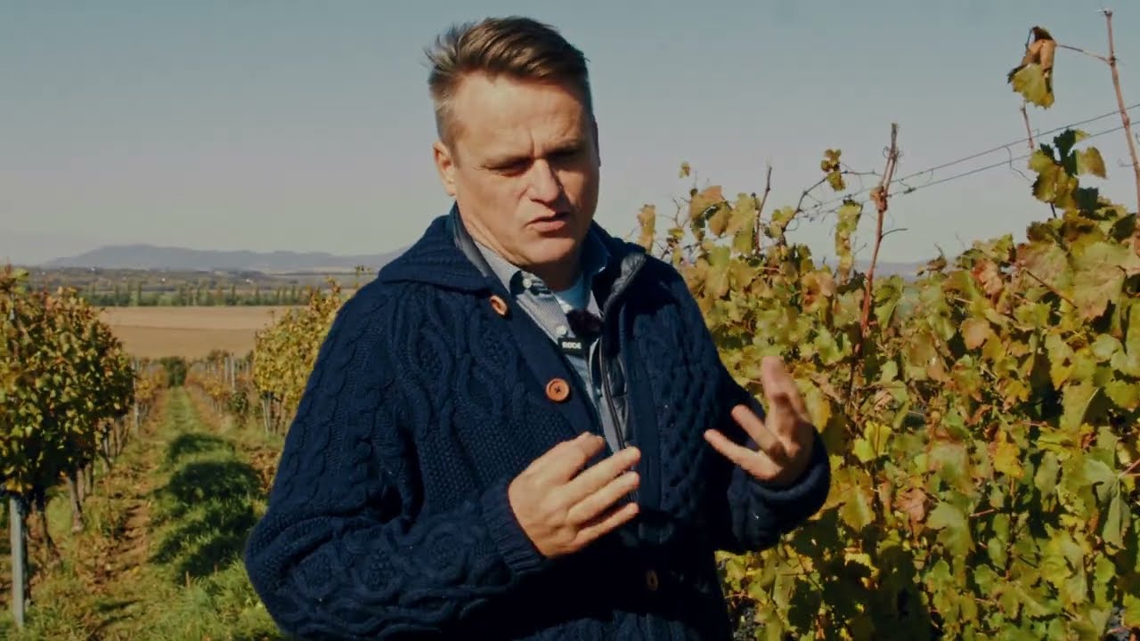 Kampaň 2025 slovami Rasťa Demeša