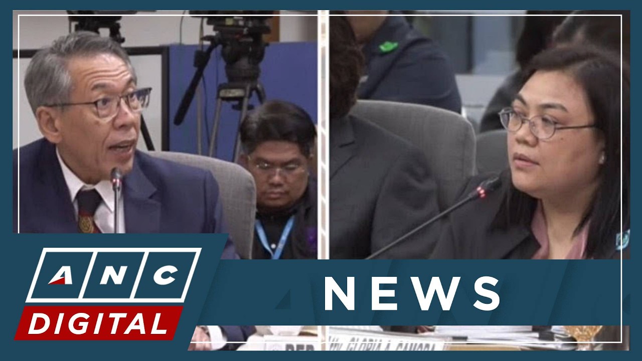Diokno asks: Should VP Sara's confidential funds be returned over misuse? COA says yes | ANC