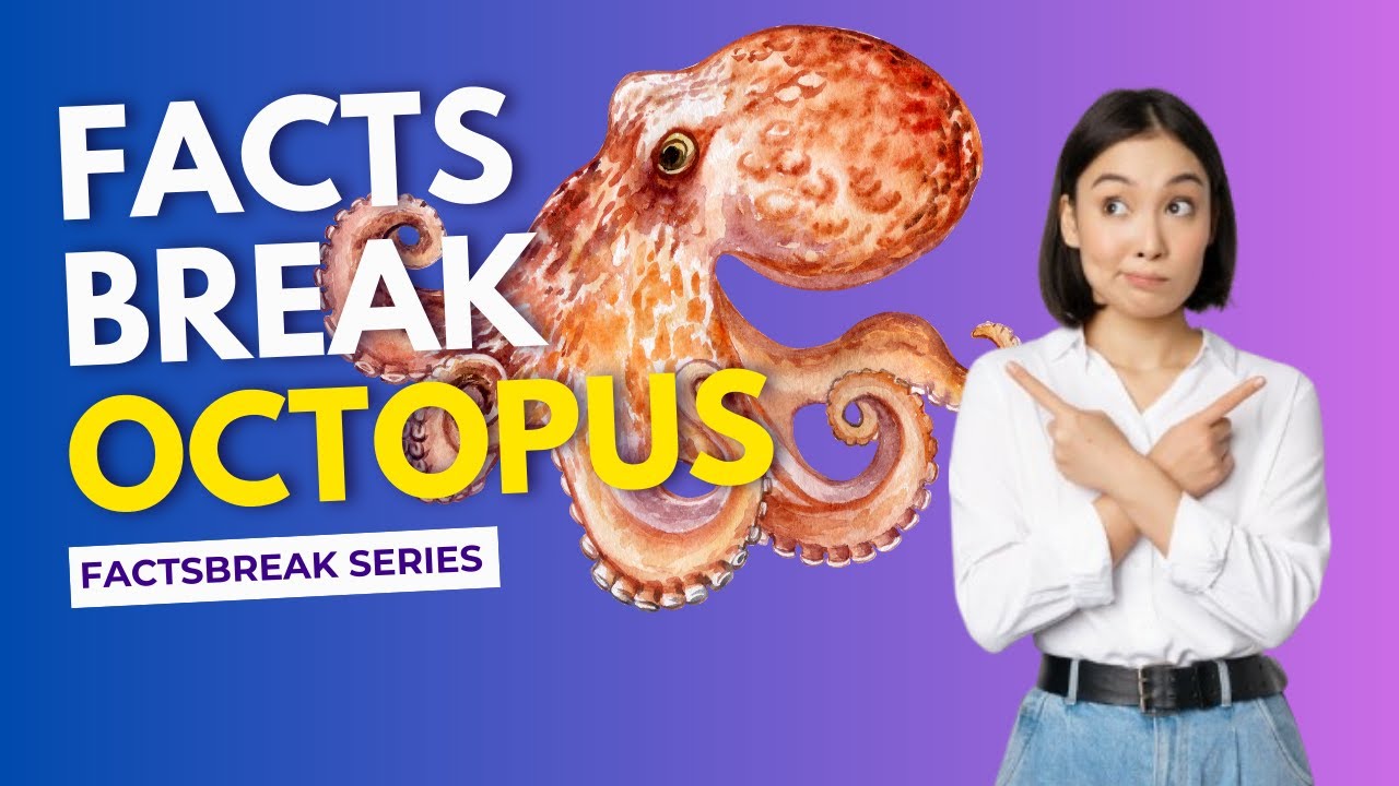 Did You Know Octopuses Have Nine Brains - Facts Break
