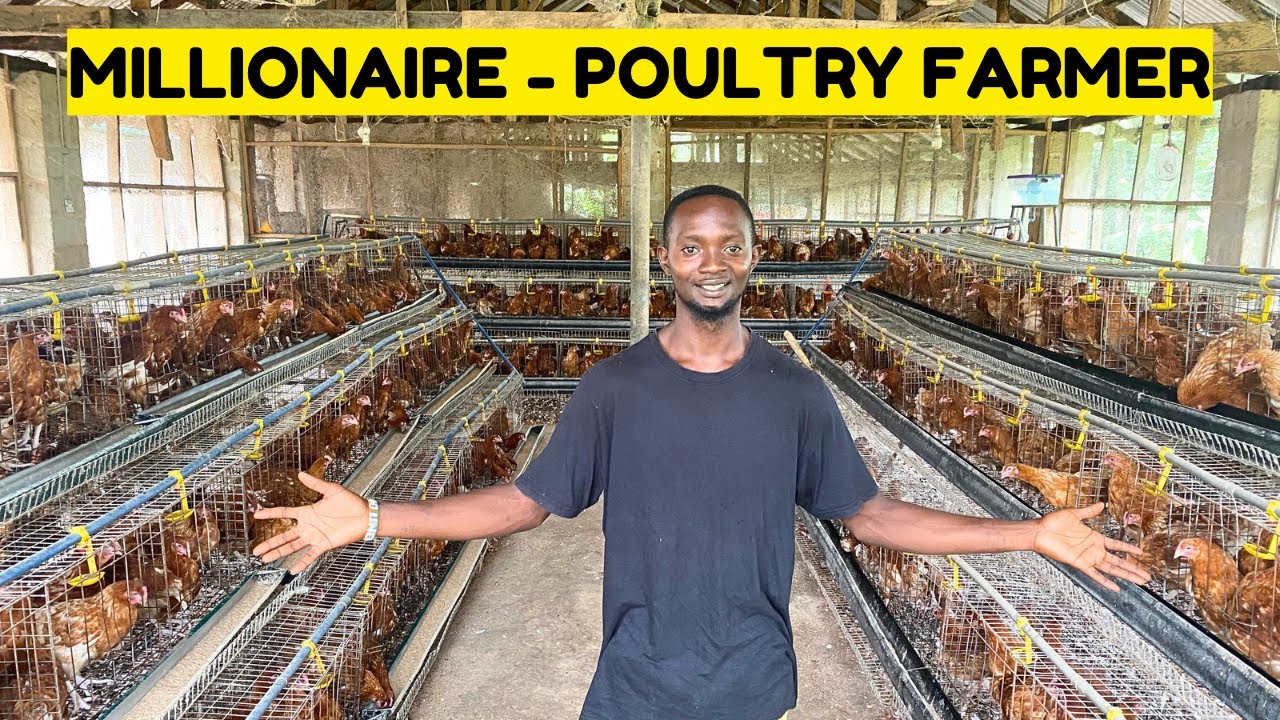 How A Young Nigerian Graduate Became One Of The Biggest Poultry Farmers In His country