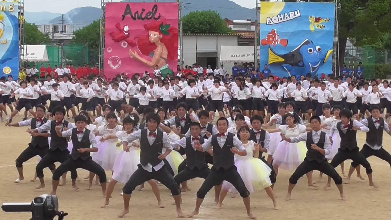 徳山高校 体育祭 2016 白組　舞音団