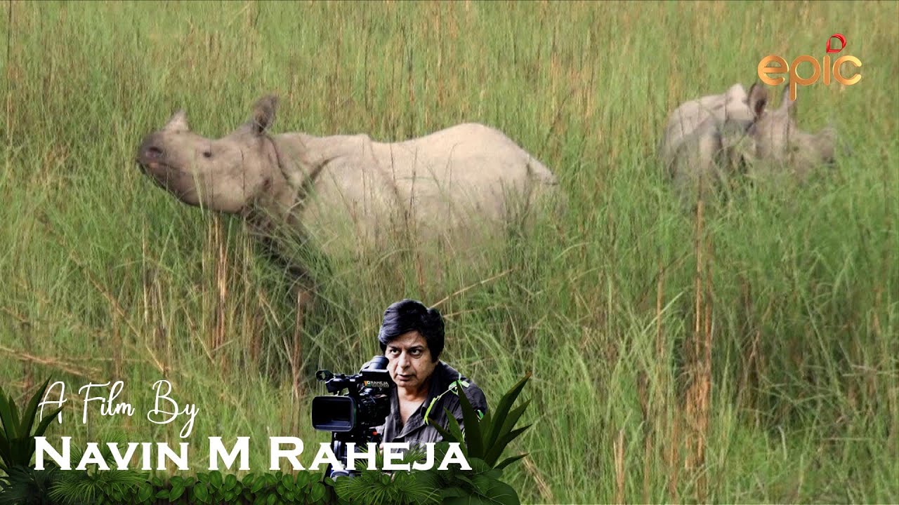 Dudhwa National Park &  Choti Haldwani - A film by Navin M Raheja