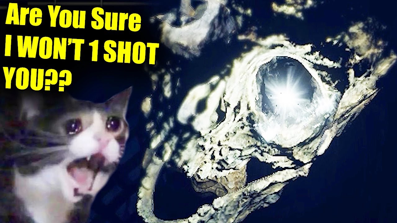 Watch This Invisible Attack One Shot Me In The Elden Ring Param Randomizer