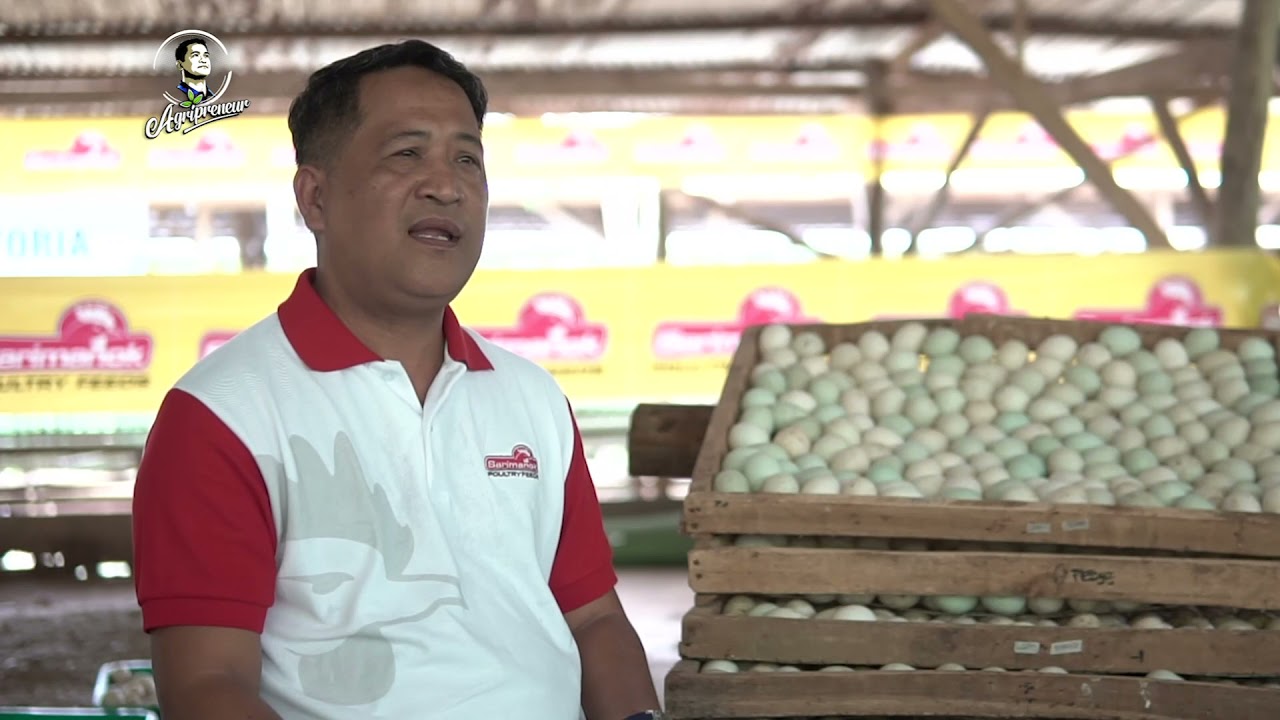 A SariPreneur From Zamboanga Del Sur Makes a Case for Utilizing Poultry Buildings