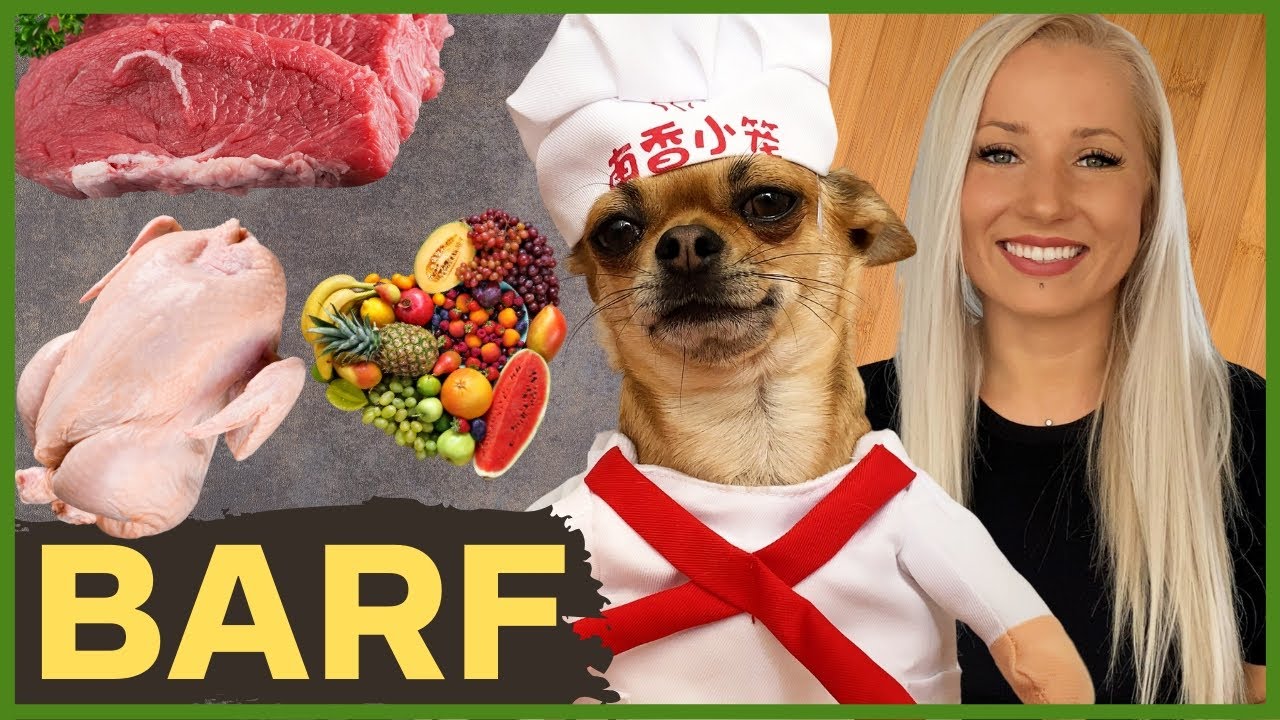 BARF Diet ❤ Recipe for small dogs (subtitles in Spanish and Polish)