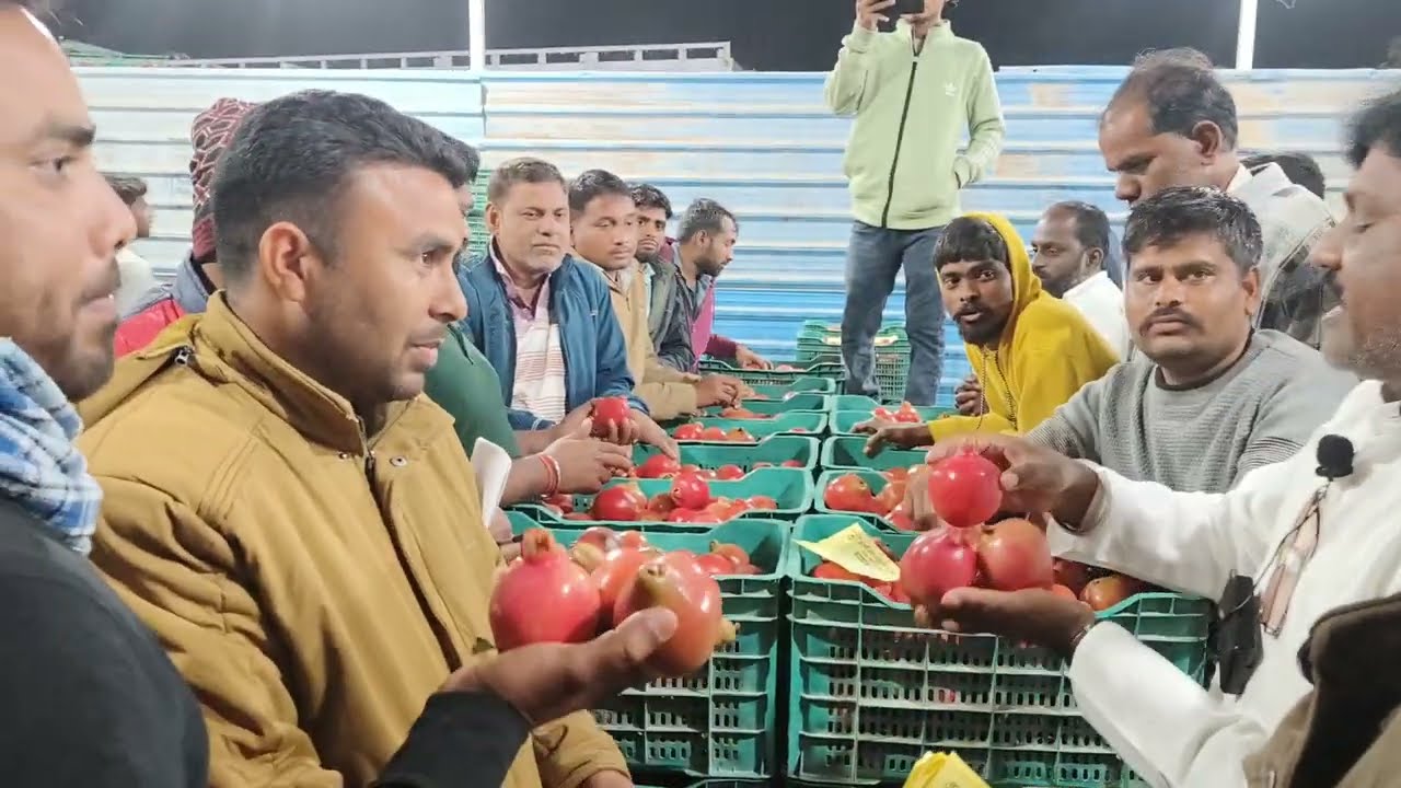 फ्रुटली अनार मंडी 05/02/2026 आज का भाव ??