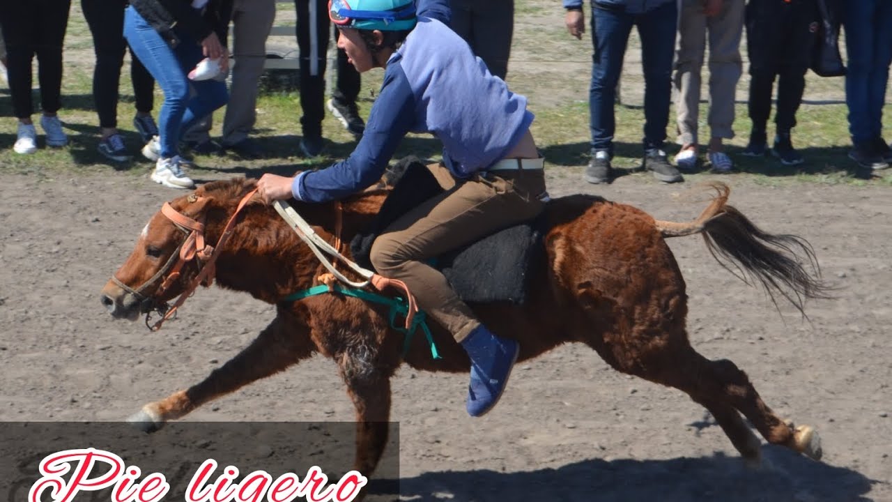 Pista Hipico Don Goyo -27/08/2023. 7° Carrera 