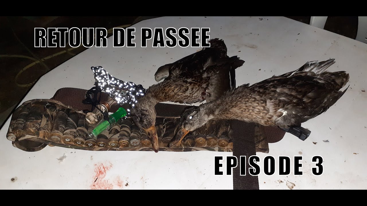 Retour de Passée - Episode 3: Passées estivales en Provence - Chasse au Gibier d'Eau