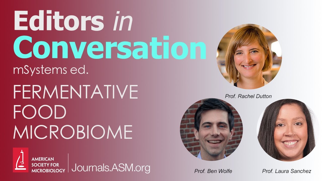 Fermentative Food Microbiome