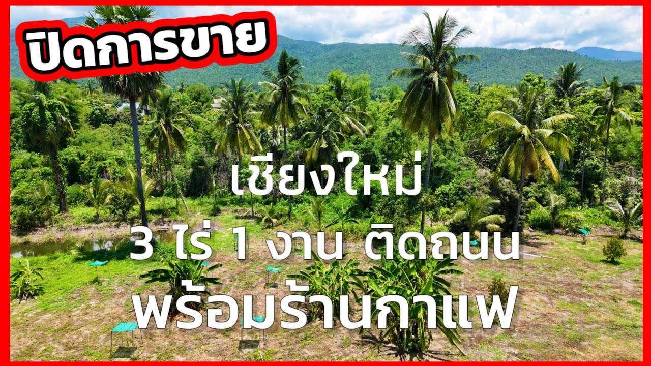 🔴 ปิดการขาย ที่ดินเนินวิวเขา ติดถนนลาดยาง พร้อมร้านกาแฟ จอมทอง เชียงใหม่