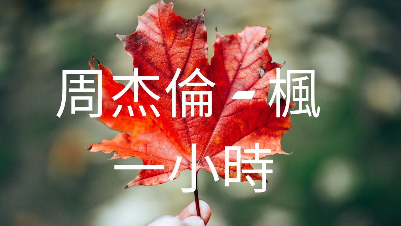 周杰倫   楓 一小時版本循環播放
