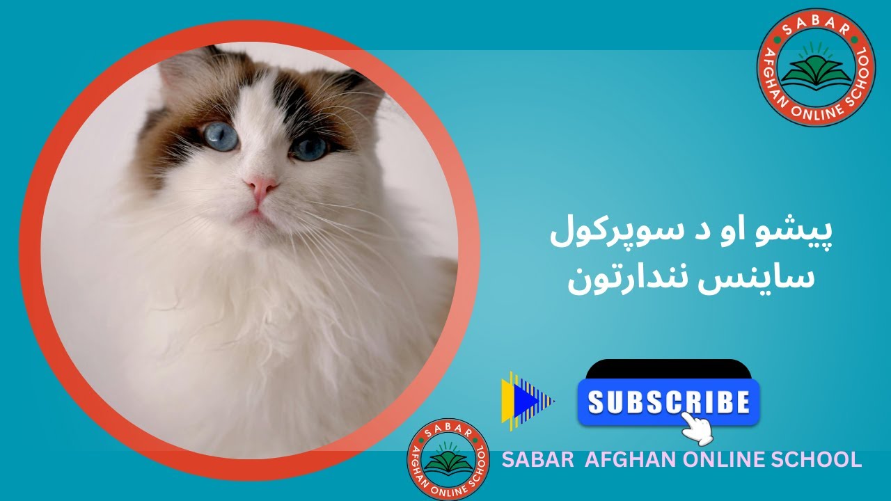 Sabar Afghan Online School Kids | پيشو او د سوپرکول ساینس نندارتون