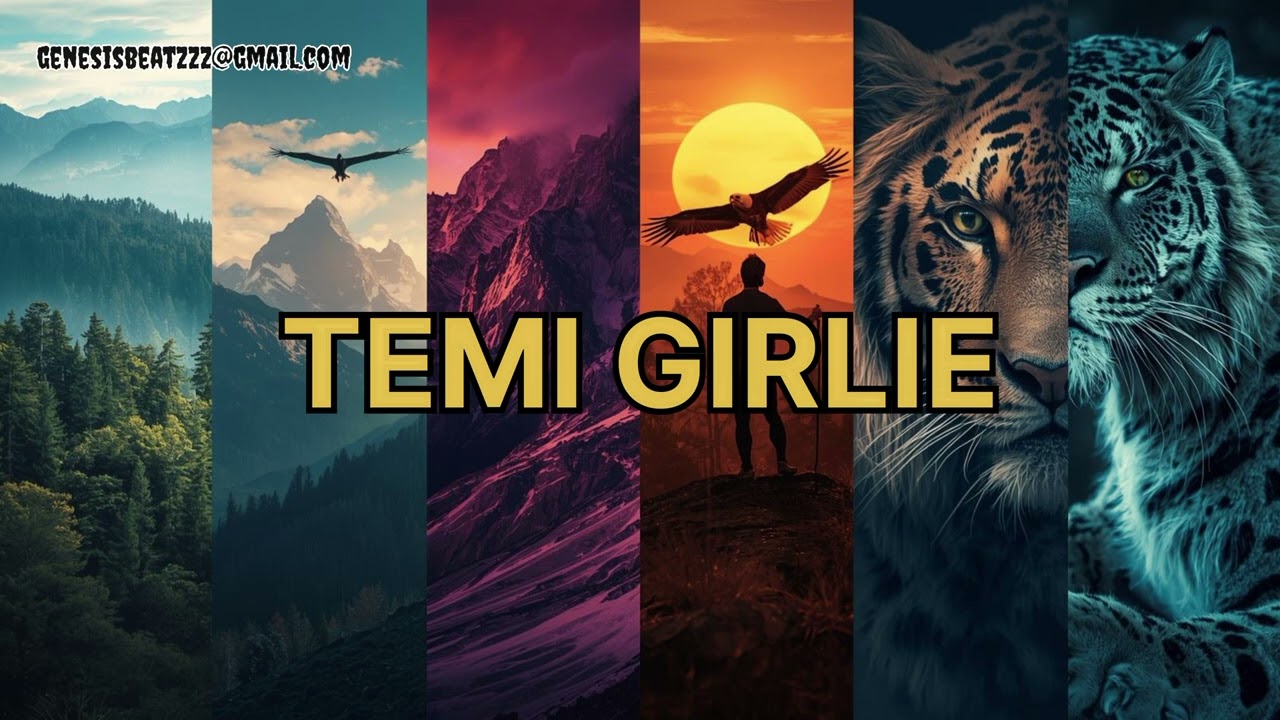 TEMI GIRL (Rema x Oxlade x Tems Type Beat) | Love Afro Vibe | Slow Chill Afrobeat 2026