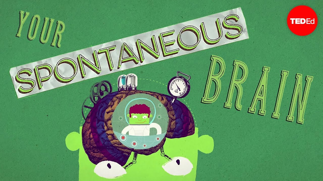 How spontaneous brain activity keeps you alive - Nathan S. Jacobs
