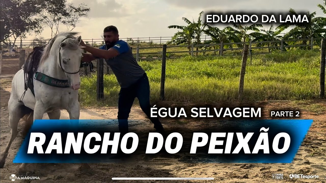 RANCHO DO PEIXE DA LAMA - ÉGUA SELVAGEM PT2 COM EDUARDO DA LAMA