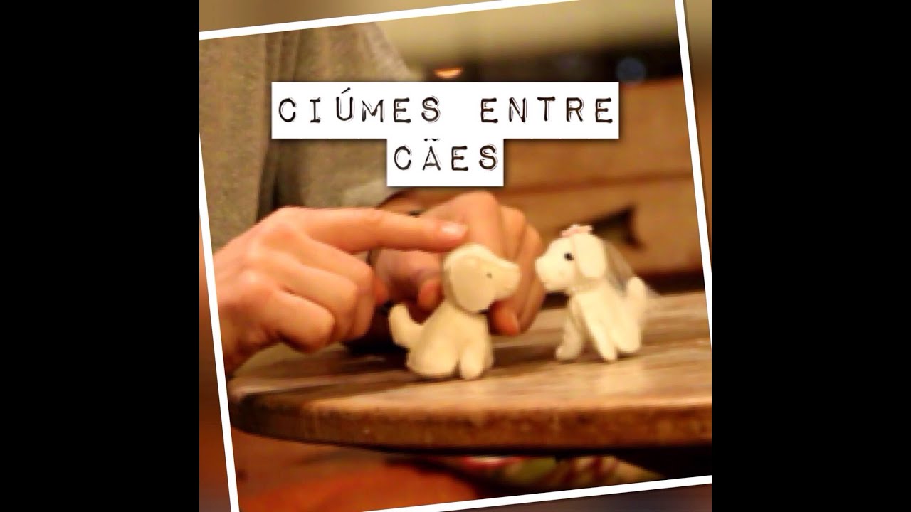 Ciúmes entre cães - Alexandre Rossi