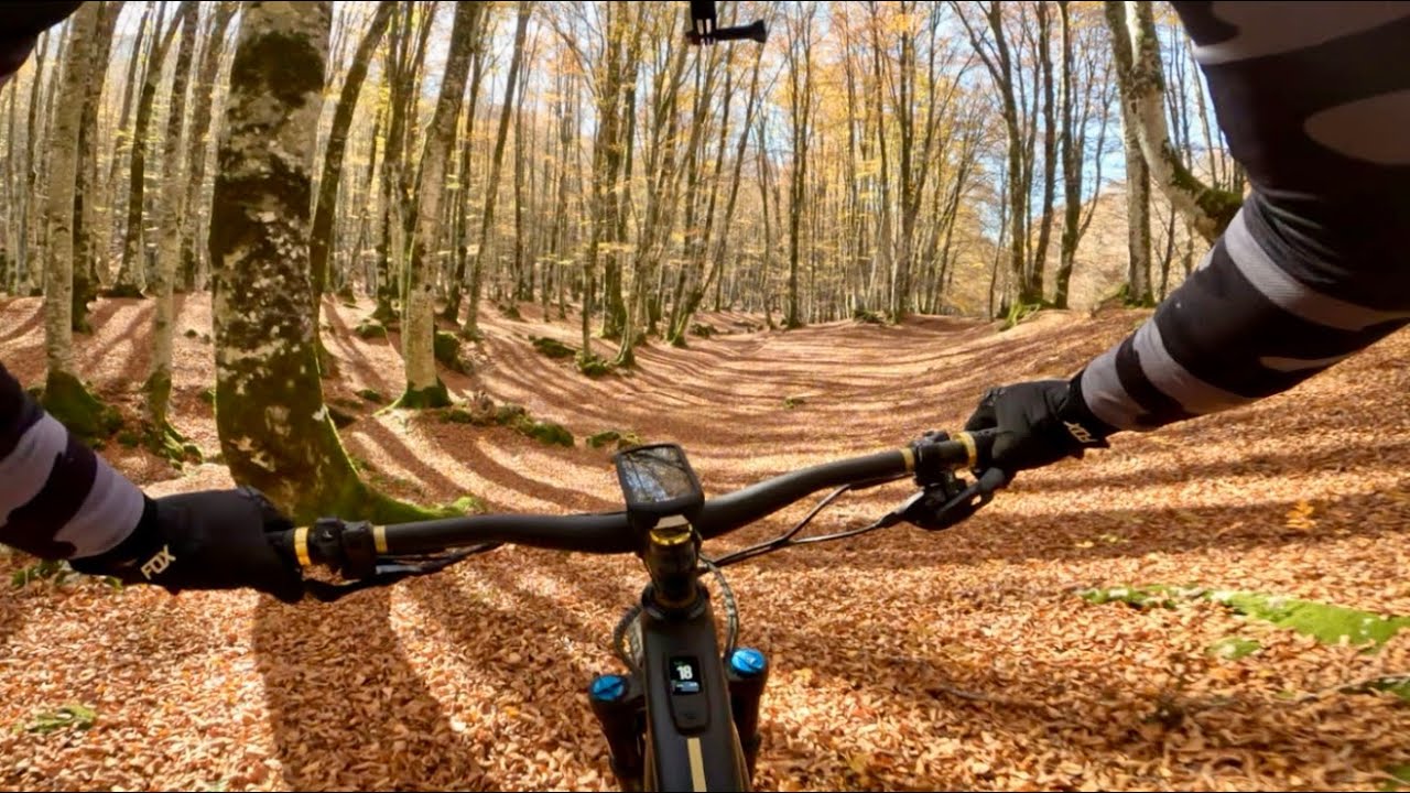 Monte Pedicino e foliage a Prato di Campoli 🍁 #wildebikersteam #emtb #ebike