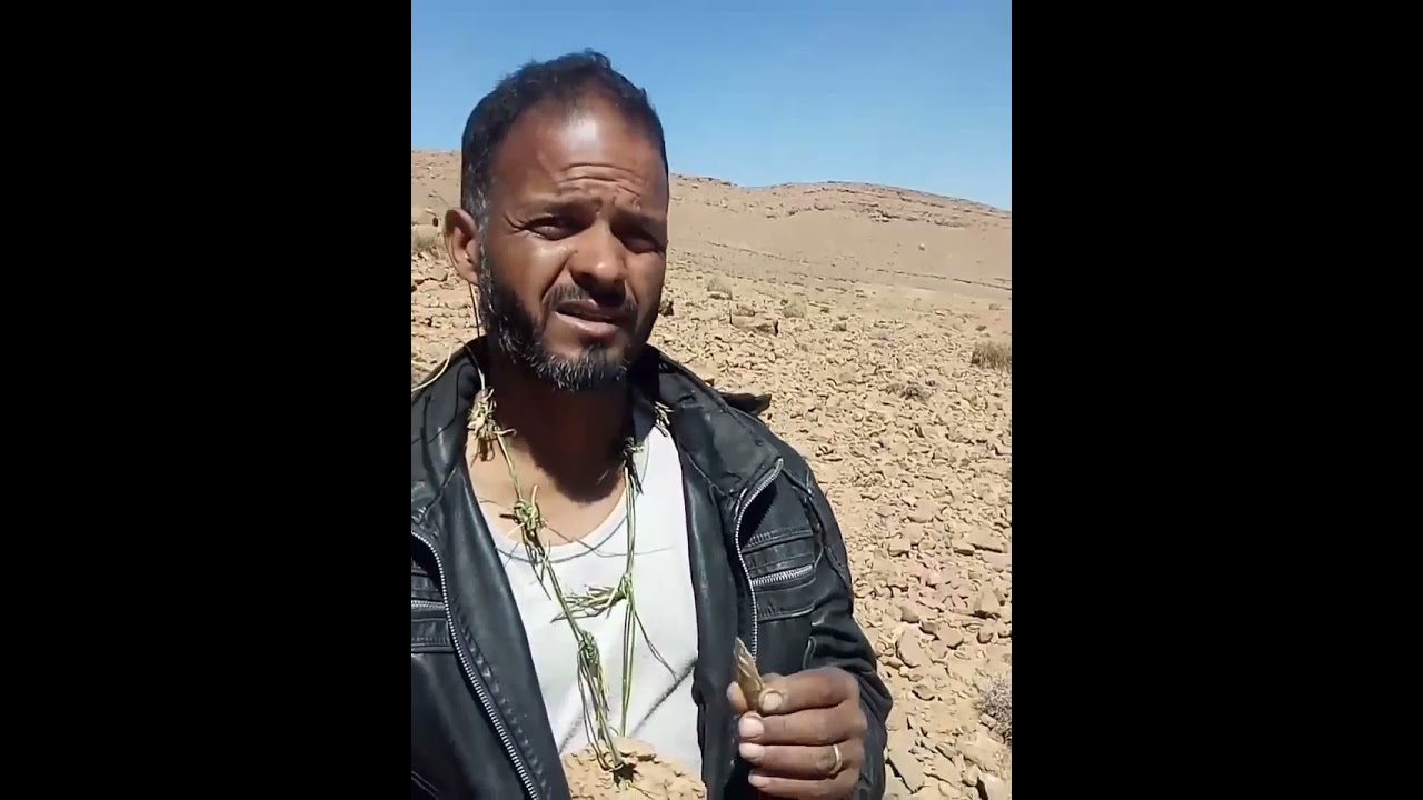 اكتشاف بيوت الإنسان البدائي في منطقة بوكحيل