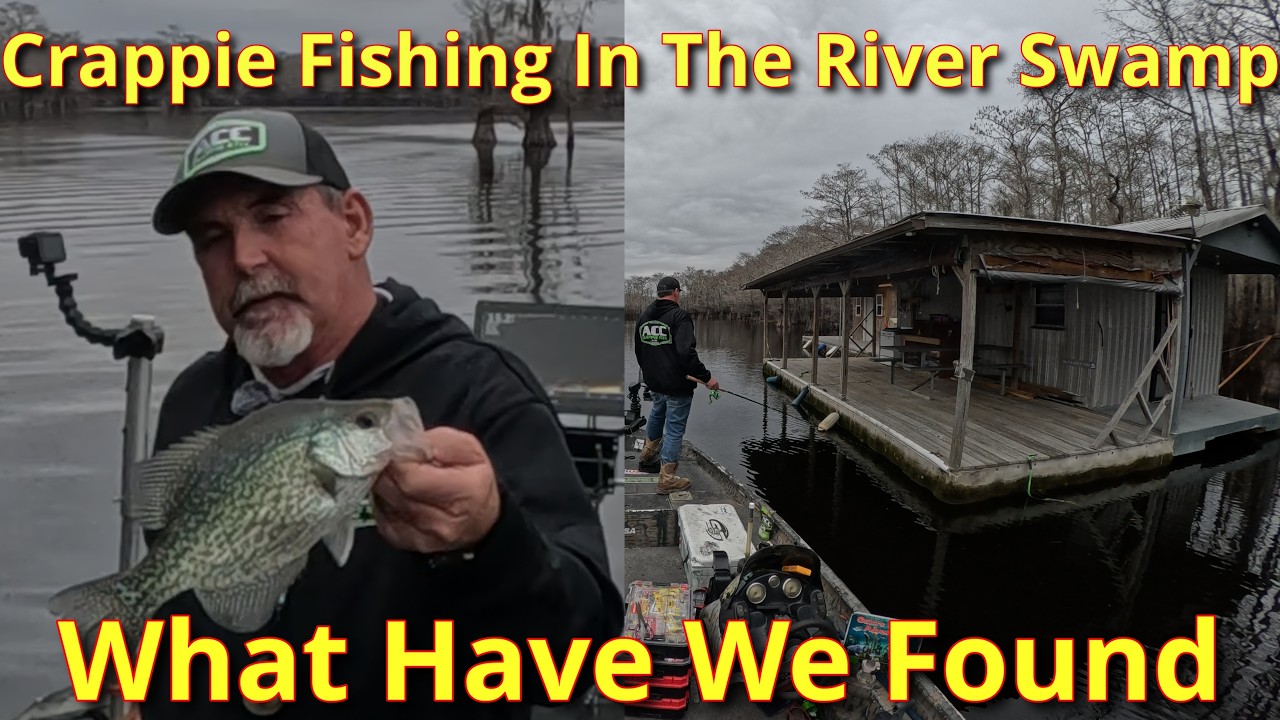 🐊🌍 Crappie Fishing the Swamp! Little Pee Dee River, SC – Lost Fish & Big Slabs (Part 1) 🌍🐊