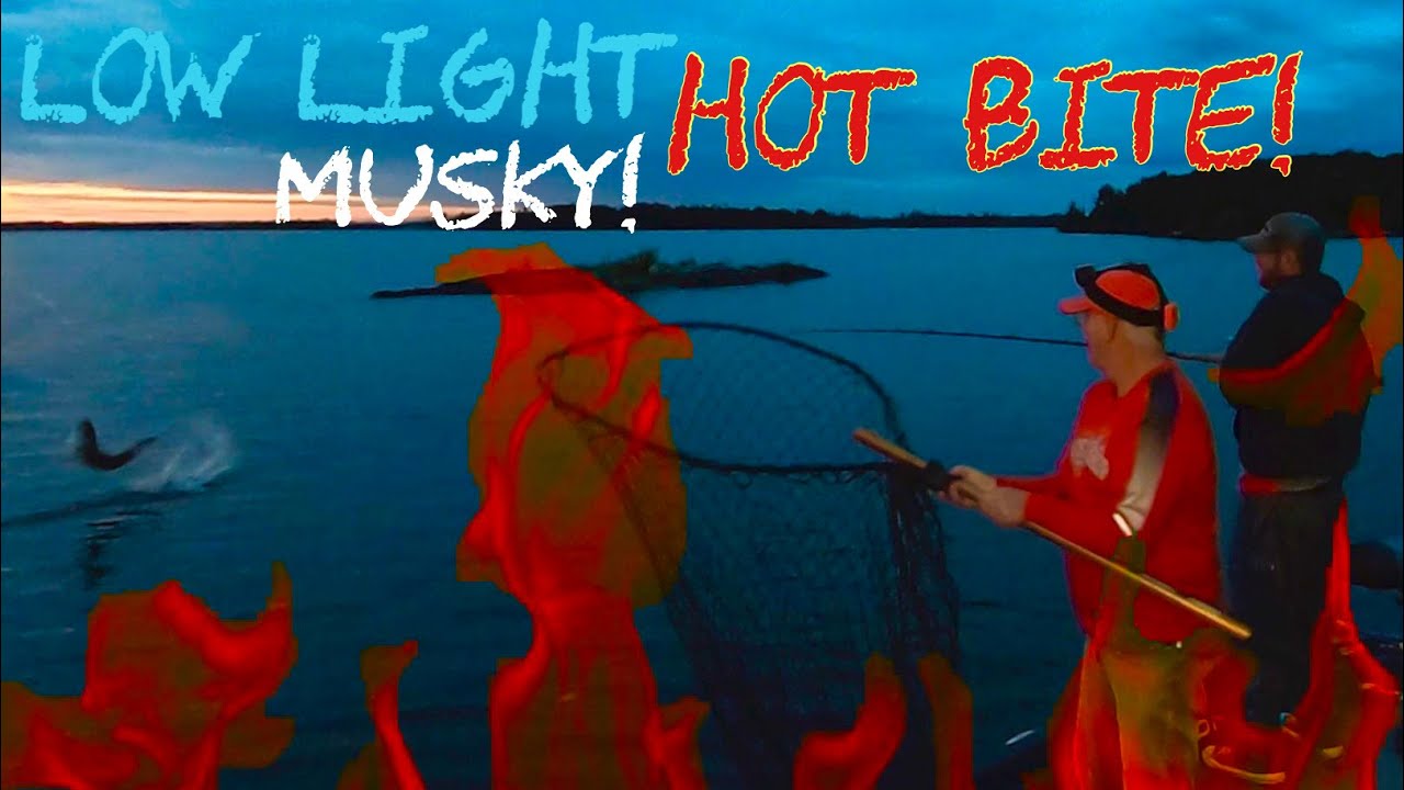 Low Light/Hot Bite Musky | Fishing With Joe Bucher