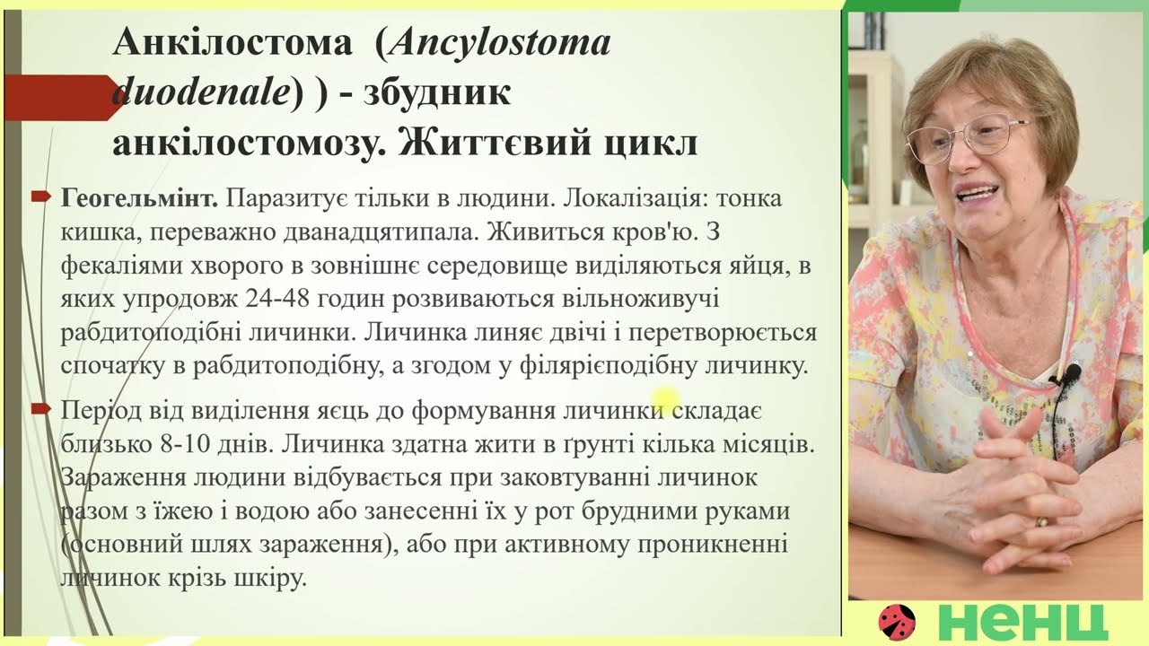 Анкілостома