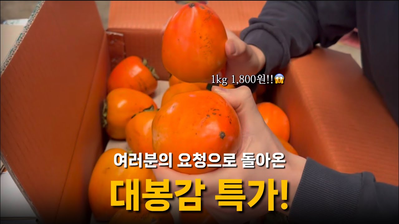 대봉감 1kg에 1800원? 이거 안사면 바봉💖