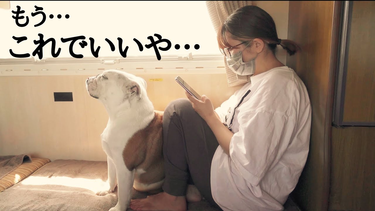北海道車中泊旅1ヶ月、現在愛犬との旅を中断してます。理由がこちら・・・