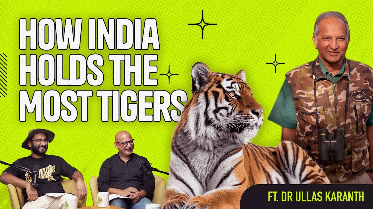 The TRUTH About India&rsquo;s Wild Tigers with Tiger Expert Dr Ullas Karanth