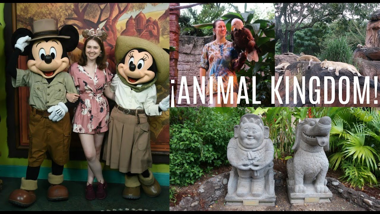 TARDE LLUVIOSA EN ANIMAL KINGDOM / ¡LA MEJOR EXPERIENCIA EN KILIMANJARO SAFARIS!