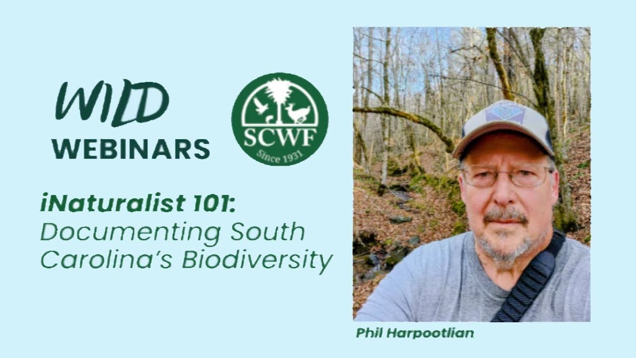 iNaturalist tutorial: Documenting South Carolina's Biodiversity