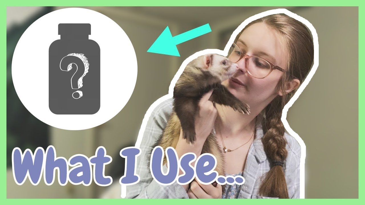 Will These Make Your Ferrets Live LONGER? | Pazuandfriends