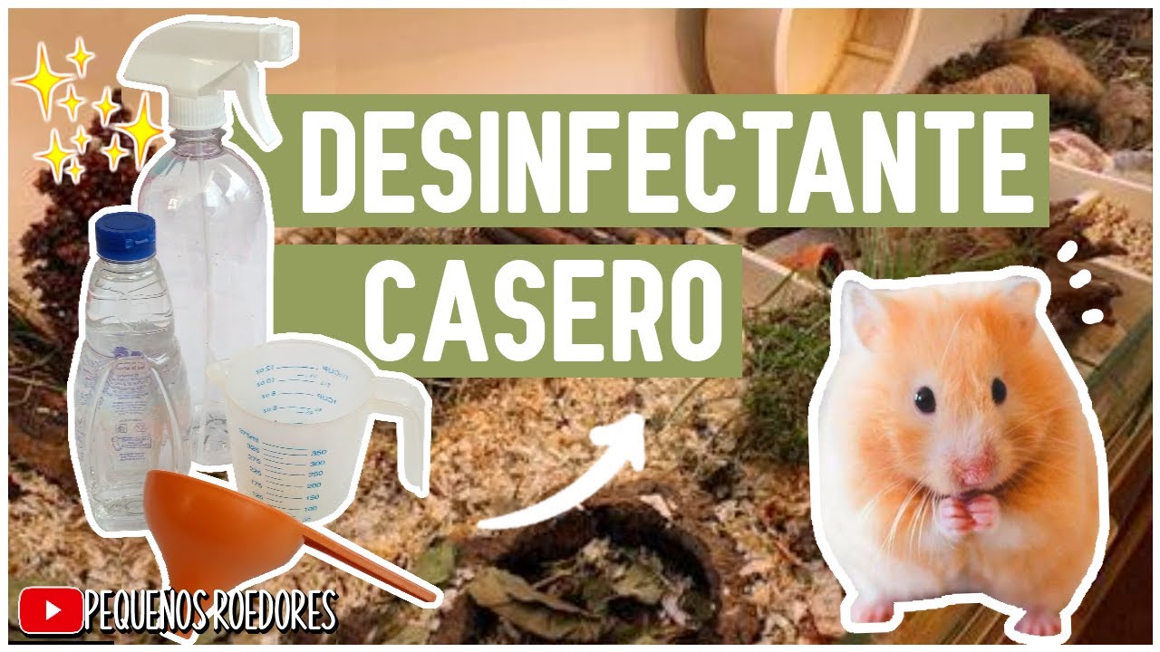Con que LIMPIAR la JAULA de mi HAMSTER ?