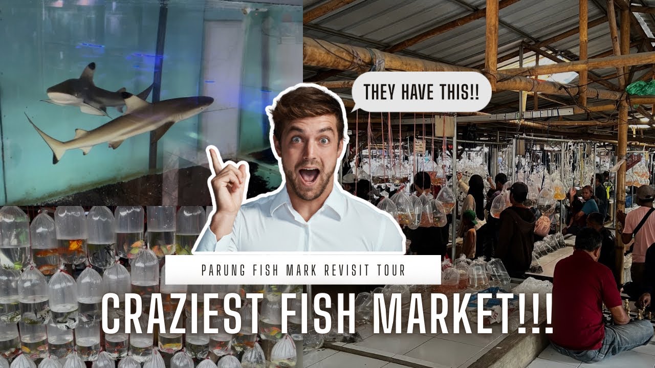 THIS PLACE IS INDONESIA’S FISHKEEPER HIDDEN GEM!!!!….(Parung fish market revisit tour)