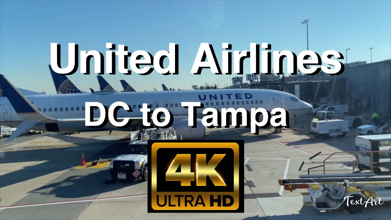 【4K】United Airlines Flight - Washington DC to Tampa - Airport Walk