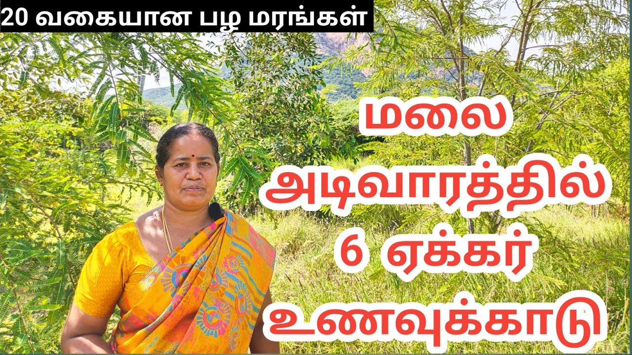 வறட்சியான பகுதியில் ஆறு ஏக்கர் உணவுக்காடு | Food forest in Dindigul