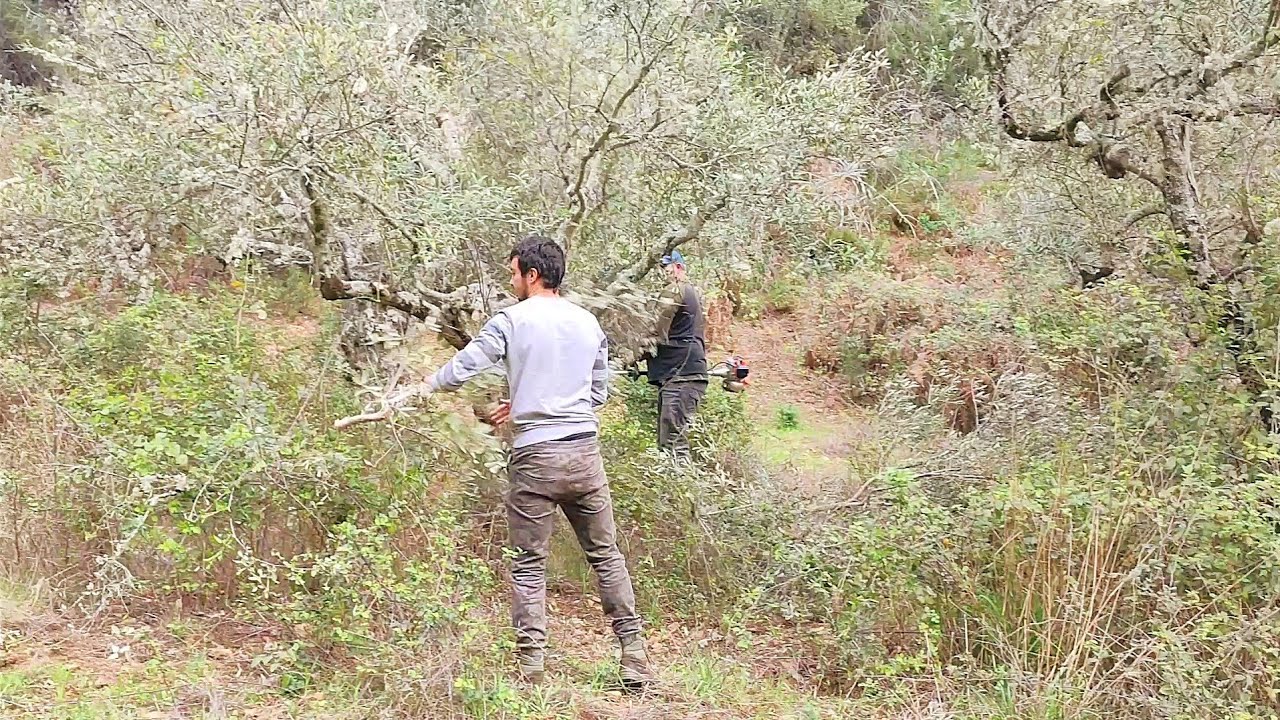 Vamos a recuperar una finca abandona