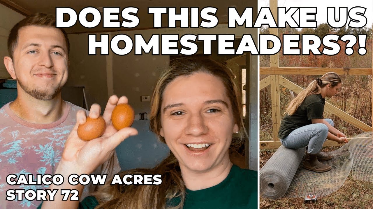Saying Goodbye to the Garden | Our FIRST Frost of 2023 & our first EGGS!
