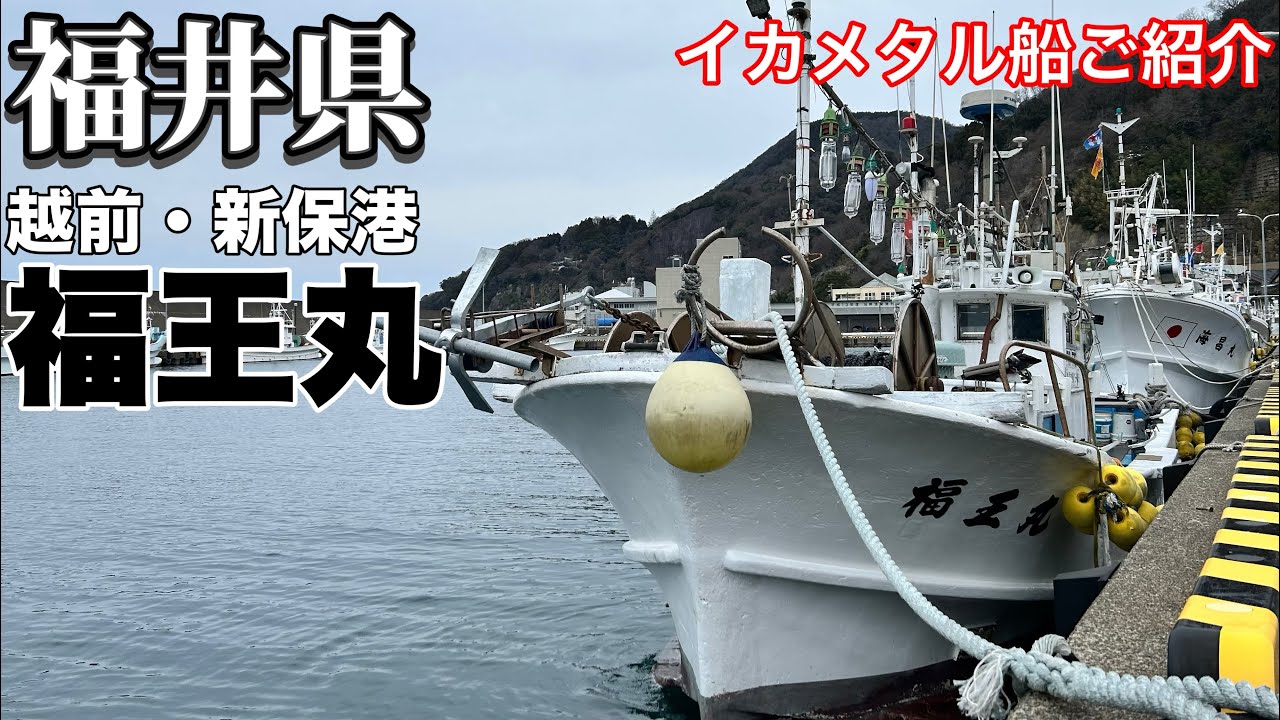 [イカメタル船紹介]港からポイントまですぐそこ！浅棚が魅力！越前・新保港　福王丸